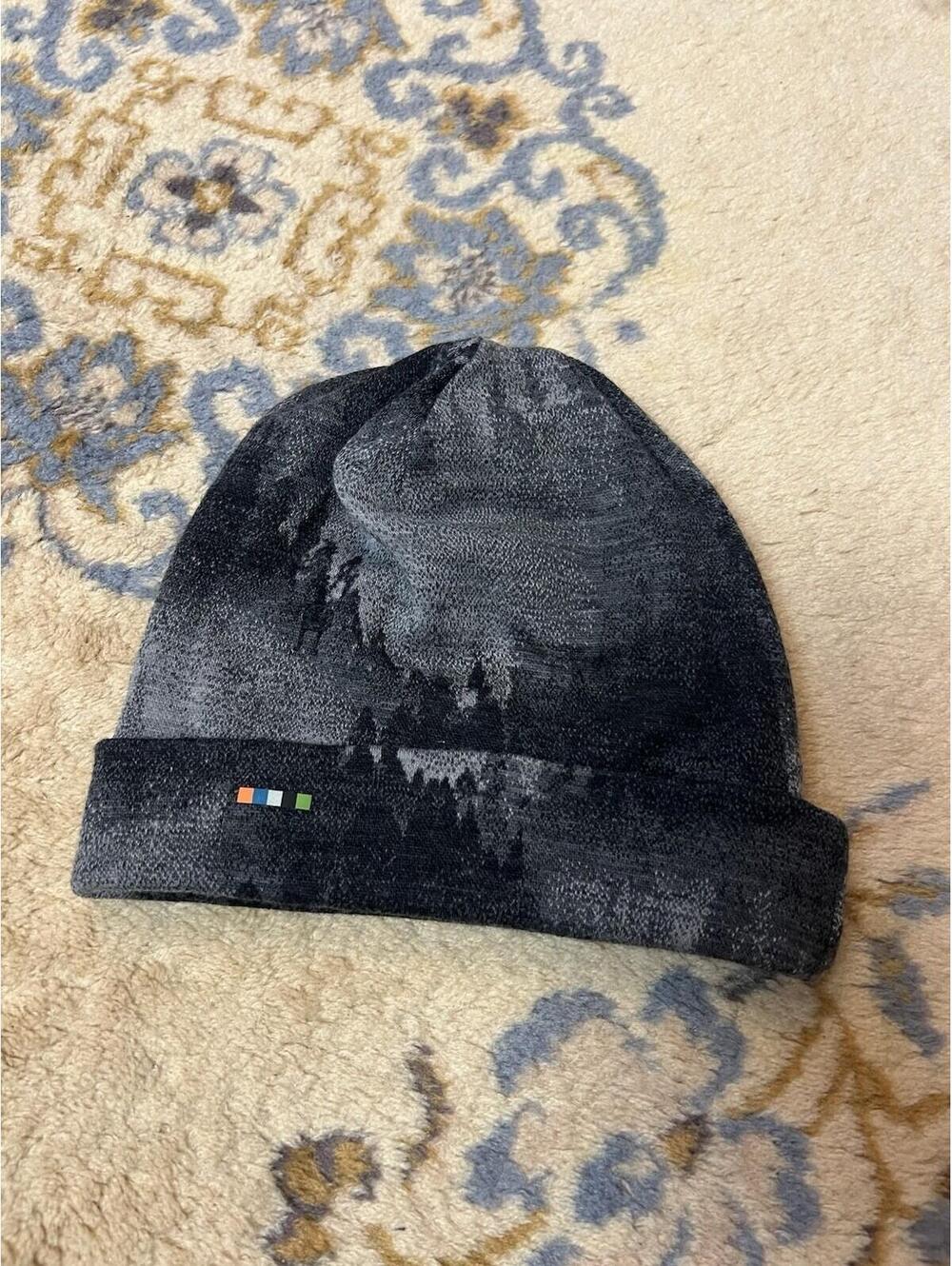 SMARTWOOL Merino Wool 250 Reversible Cuffed Beanie Charcoal Foggy Pine Trees